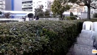 MBM-732 まさかウチの子が！？親は処女だと思ってる？清楚で無邪気、無防備な箱入り娘の淫乱ビッチなマル秘実態